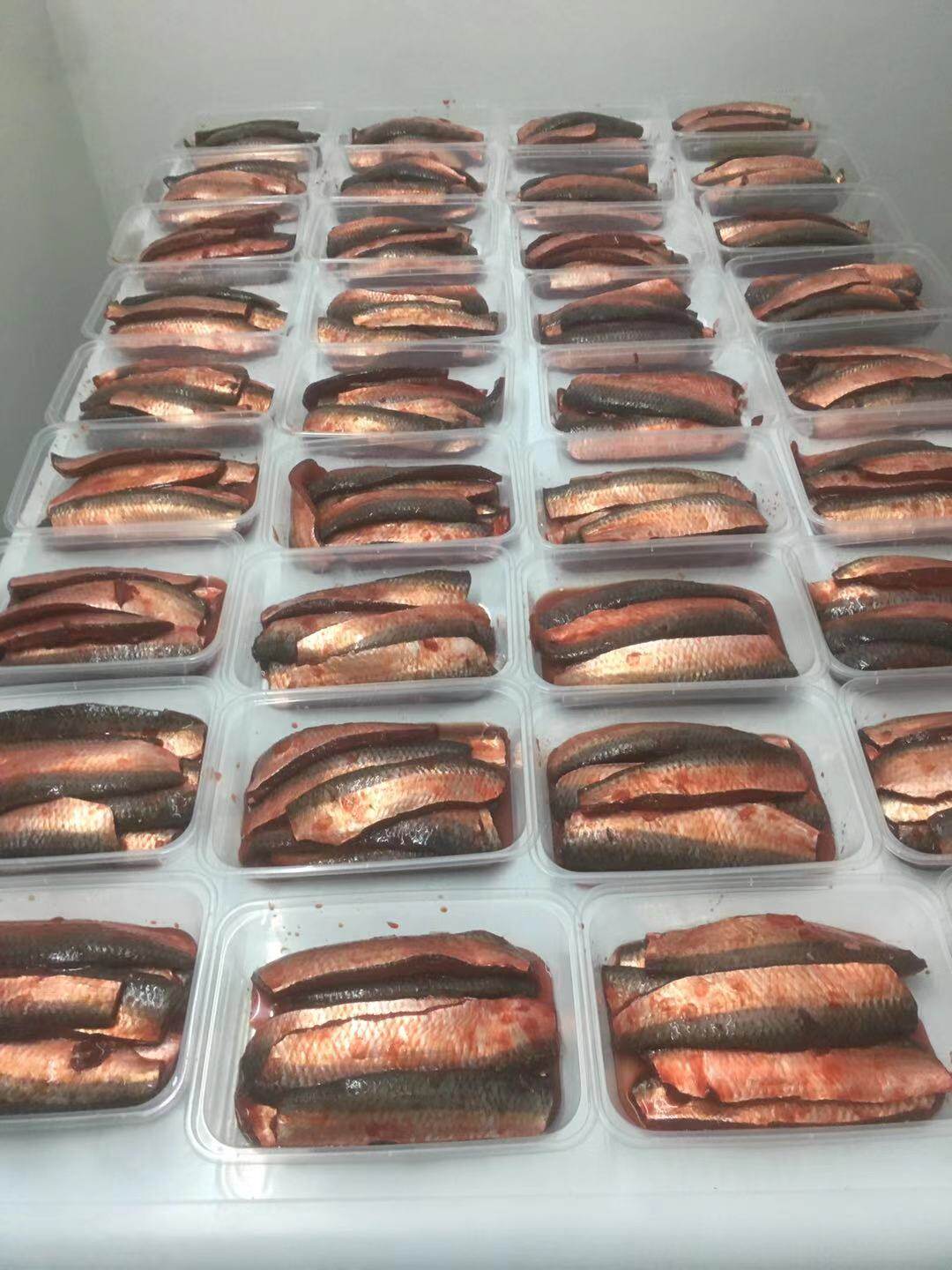 包邮秘制温鱼饵姑鱼鱼饵海钓矶钓筏钓鱼沙丁鱼万能鱼饵黑雕石斑鱼