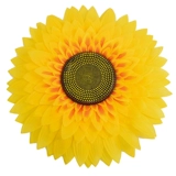 Liuyi Diseergarten Dance Props