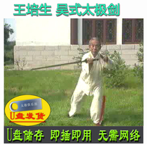 Wang Peisheng Wu style too sword U disc video Wus thirteen sword 64 type decomposition explaining old information teaching 13 sword