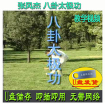 Zhang Fenjie Gossip Taijiquan Tai Chi Kung U Disk Video Station Ppile Basic work breakdown explanation of teaching