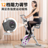 Lake Magnetic Foldable Exercise Bike Indoor Bike
