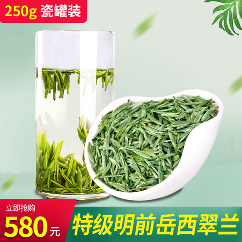 2026年新茶岳西翠兰翠尖特级明前高档高山绿茶250g瓷罐装礼品茶叶 - 图0
