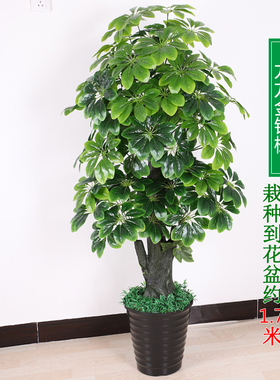 室内装饰假花发财树假树