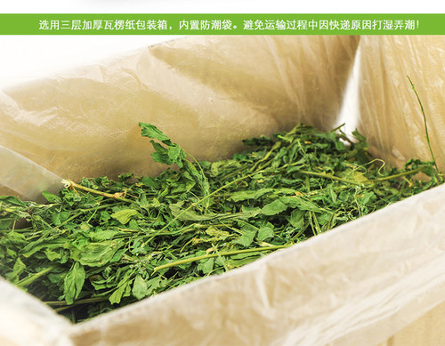 爱尚它烘干苜蓿草幼兔主粮饲料豚鼠龙猫兔子荷兰猪营养牧干草750g - 图1
