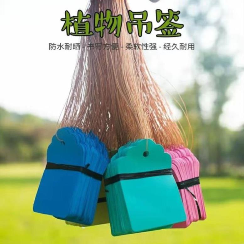 花卉标签吊牌防水可手写户外绿植名字小挂牌仓库塑料吊签牌家用