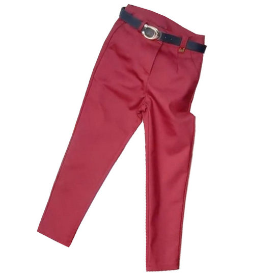 2025秋季加绒加厚小西裤女黑色烟管裤修身显瘦九分弹力休闲铅笔裤