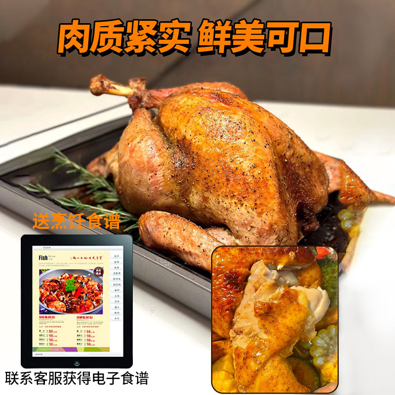 新鲜火鸡肉现杀整鸡全鸡散养农家火鸡整只5-30斤感恩圣诞节烤火鸡,淘宝优惠券,粉丝福利购,淘宝优惠卷