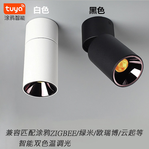 兼容小度智能射灯涂鸦ZigBee直连调光调色明装筒灯防眩调光射灯 - 图0