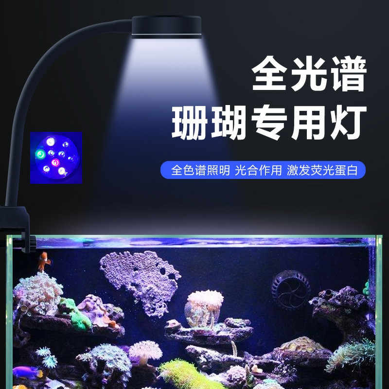 海水缸灯具 新人首单立减十元 22年8月 淘宝海外