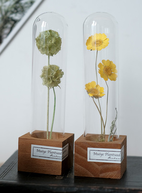 植物标本干花玻璃试管罩摆件实木底座永生花创意礼物教师节生日
