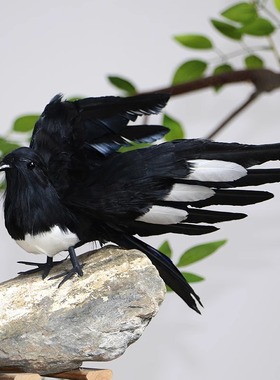 【仿真喜鹊】小鸟羽毛摆件花园布景装饰摄影道具庭院景观动物模型