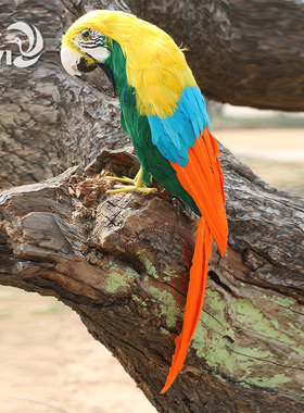 仿真羽毛鹦鹉摆件手工模型