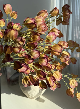 栾树果仿真花灯笼果写真道具