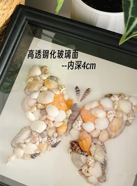 欧式中空立体贝壳标本果实相框