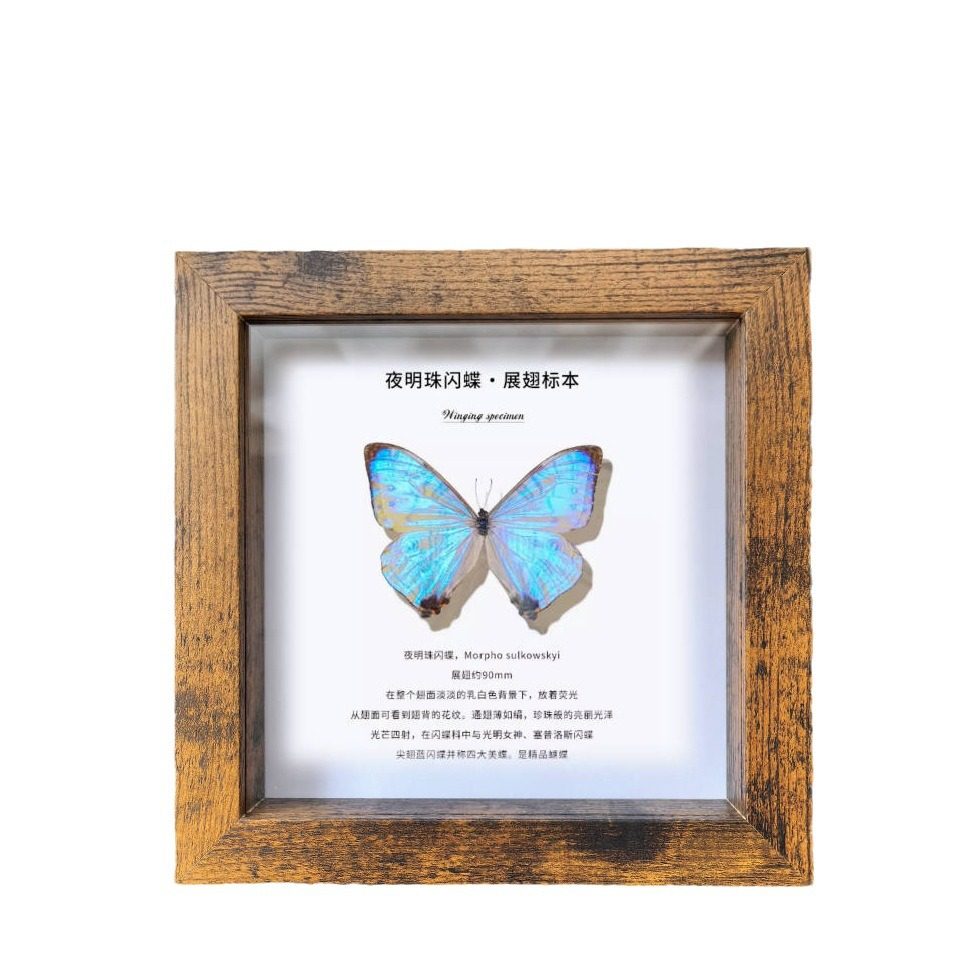 中空2厘米真玻璃相框蝴蝶昆虫标本框diy手工摆台装裱自装展示框,淘宝优惠券,粉丝福利购,淘宝优惠卷