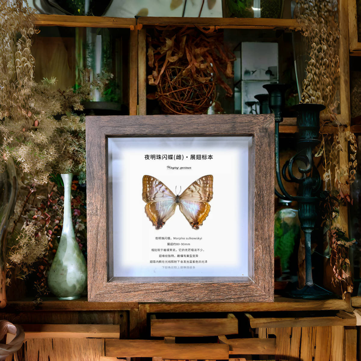 中空2厘米真玻璃相框蝴蝶昆虫标本框diy手工摆台装裱自装展示框,淘宝优惠券,粉丝福利购,淘宝优惠卷