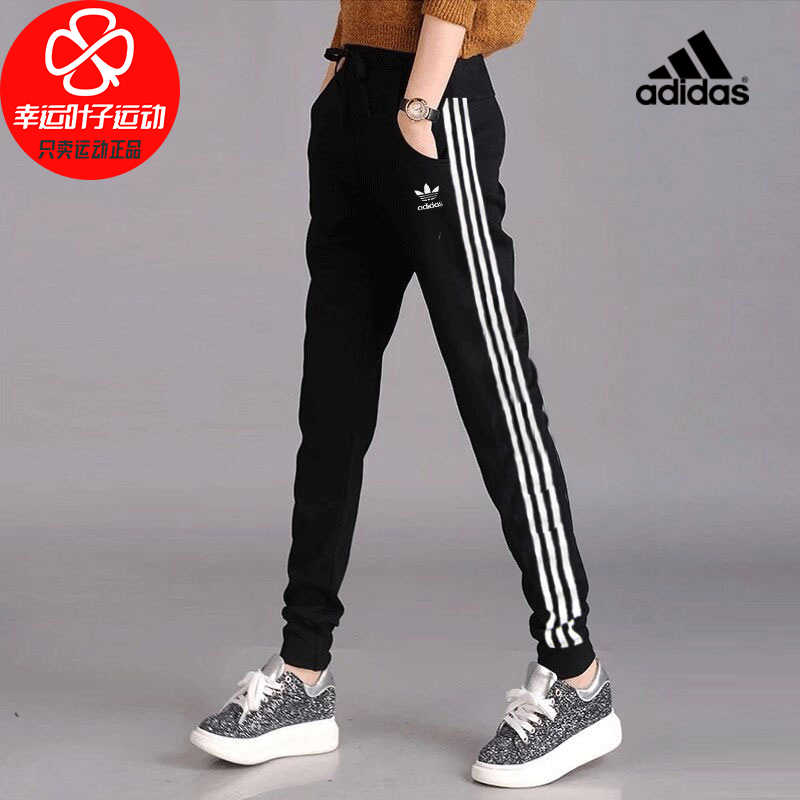 adidas Designed to Move Motion Pants - Black | adidas Turkey