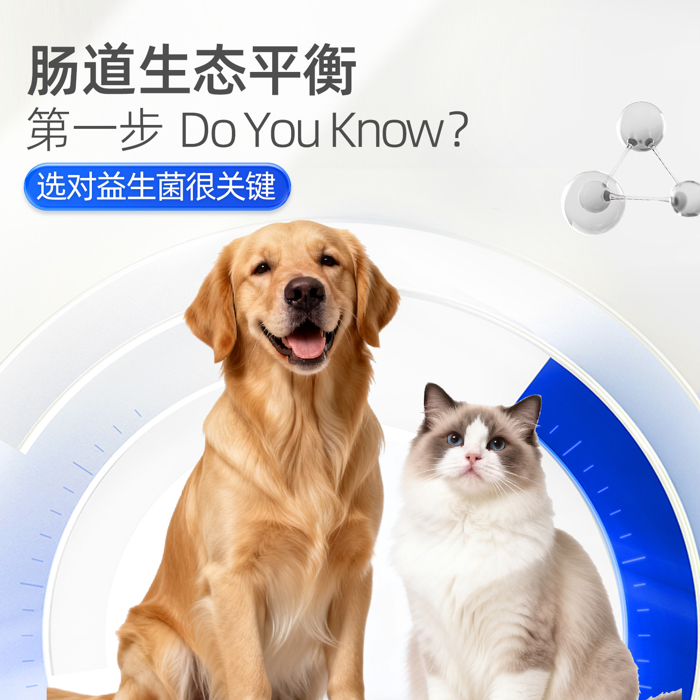 宠儿香益生菌狗专用猫咪补胃肠道菌宠物老年成犬幼猫乳铁蛋白胃酶