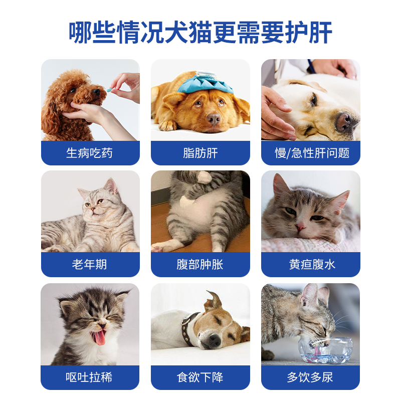 宠儿香肝舒宝胶囊猫咪狗狗养肝护肝脂肪肝促进肝脏代谢排毒舒理气
