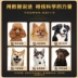 Thức ăn cho chó loại chung 40 kg 20kg chó lớn Jinmao Labrador Husky Qi Samoyed Teddy chó con chó trưởng thành - Chó Staples thức ăn cho chó cảnh Chó Staples