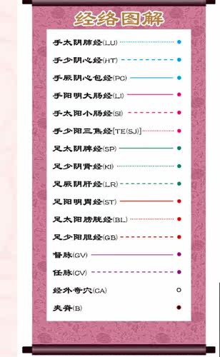 （正品热卖）人体经络穴位标准挂图赠中英文解说册（正背侧3张） - 图2
