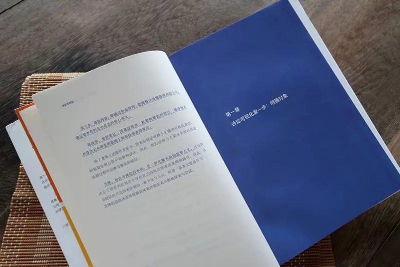 正版诉讼可视化 蒋勇 可视化实战经验分享 49个真实案例171张翔实图表 法律出版社 天同律师事务所三大诉讼法宝法律法学教材教程书 - 图3