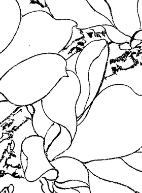 初学者工笔画团扇白描国画打印