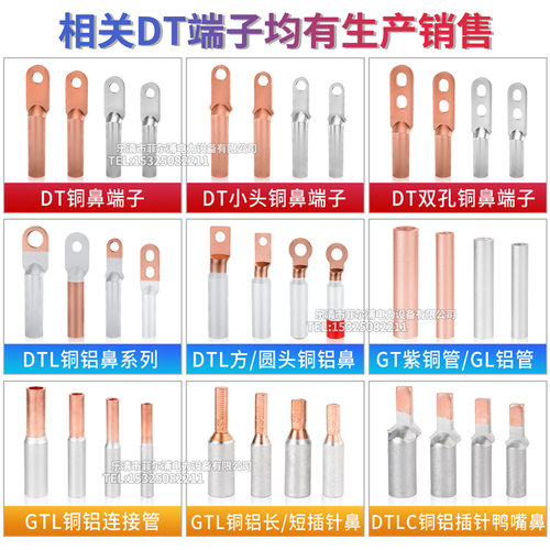 DLTS双孔铝铜鼻倒反型过渡接线端子DLTS-16/25/35/70/95/120/300 - 图3