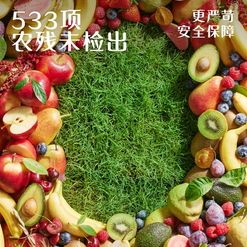 Британские органические фруктовые пюре детские закуски без добавления соли Британский фруктовый пюре для флагманского детского пищевого пюре из сливы