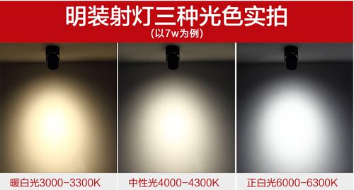 led明装射灯背景墙万向可调cob筒灯画廊聚光灯5w10w吸顶式免开孔 - 图2
