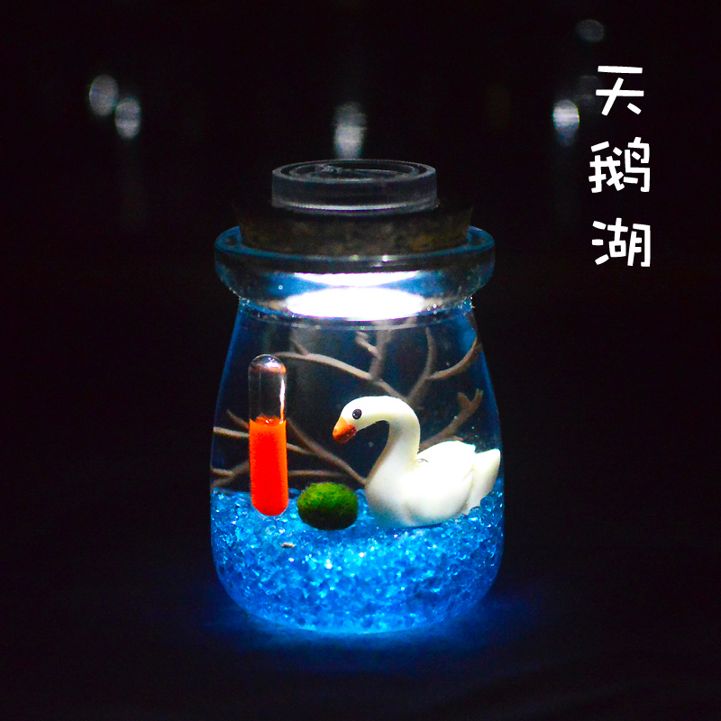 marimo海藻球宝宝绿球藻生态瓶微景观桌面办公室水培植物生日礼物,淘宝优惠券,粉丝福利购,淘宝优惠卷