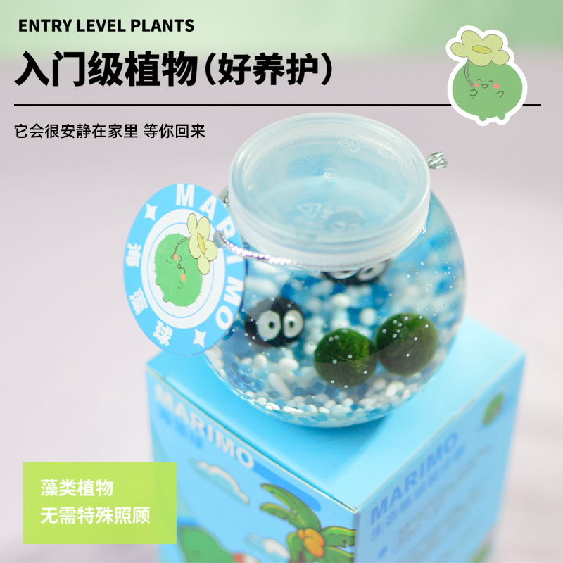 『萌藻星球』marimo海藻球微景观生态瓶办公室水培植物绿球藻礼物,淘宝优惠券,粉丝福利购,淘宝优惠卷