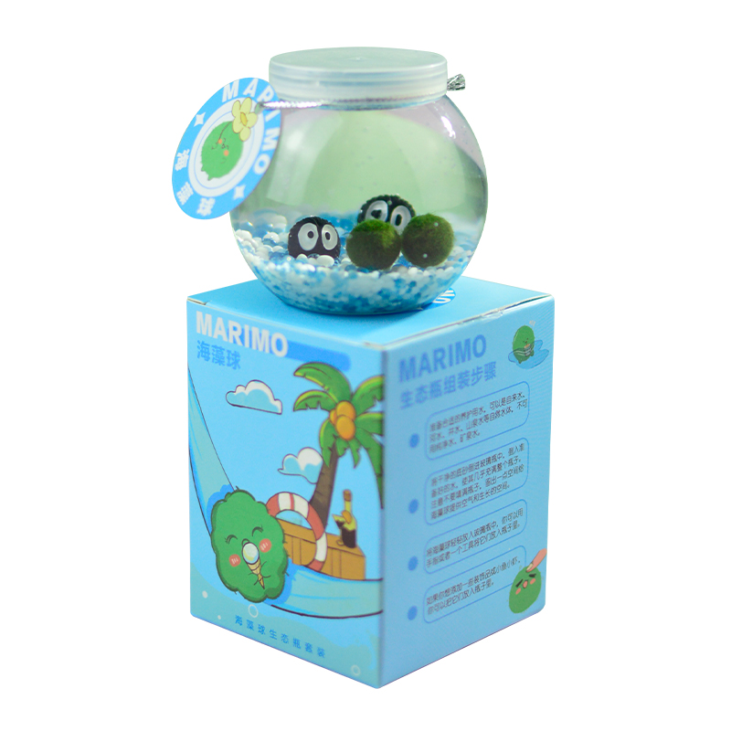 『萌藻星球』marimo海藻球微景观生态瓶办公室水培植物绿球藻礼物,淘宝优惠券,粉丝福利购,淘宝优惠卷