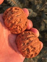 Beijing Wen Playing Walnut Shop -41 Old Tree Millstones Lion Head Stuffy grinding (boutique to collectible grade) B299