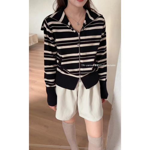 YN 长袖条纹翻领软糯针织衫女拉链开衫外套秋季新款洋气别致上衣 - 图3