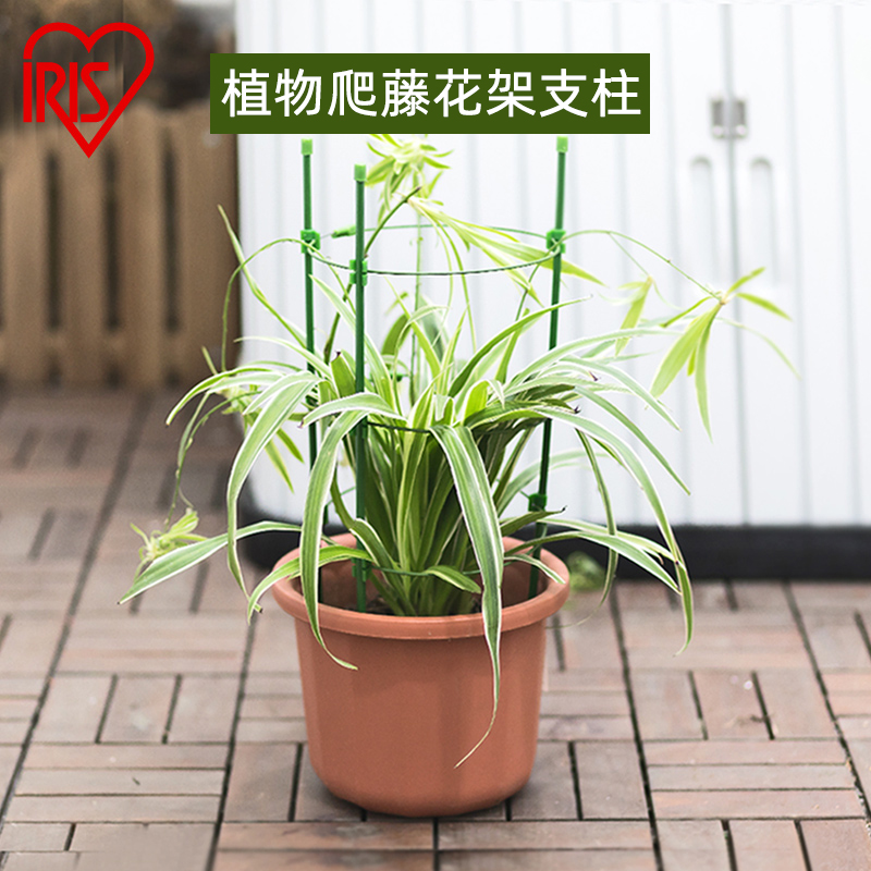 植物支柱推荐品牌 新人首单立减十元 21年6月 淘宝海外 植物支柱推荐品牌 新人首单立减十元 21年6月 淘宝海外