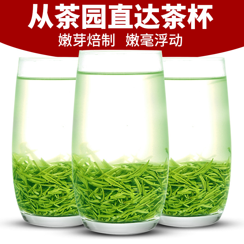 祁雅茶叶旗舰店新茶祁雅毛尖绿茶茶叶特级明前春茶嫩芽浓香散装罐装250g1