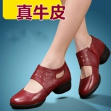 红莉人 Квадратная танце