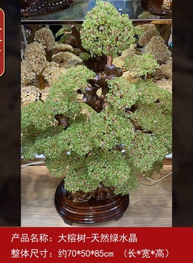 天然黄水晶榕树橄榄石加密大小颗粒摇钱树发财树开业礼品家居摆件