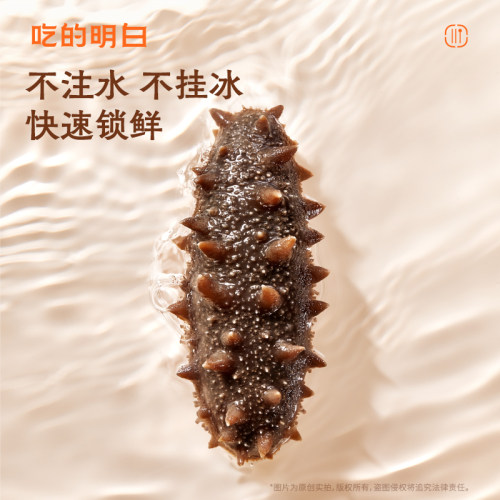 明威鲜食海参辽刺参500g非干货即食海参单只独立包装 - 图0