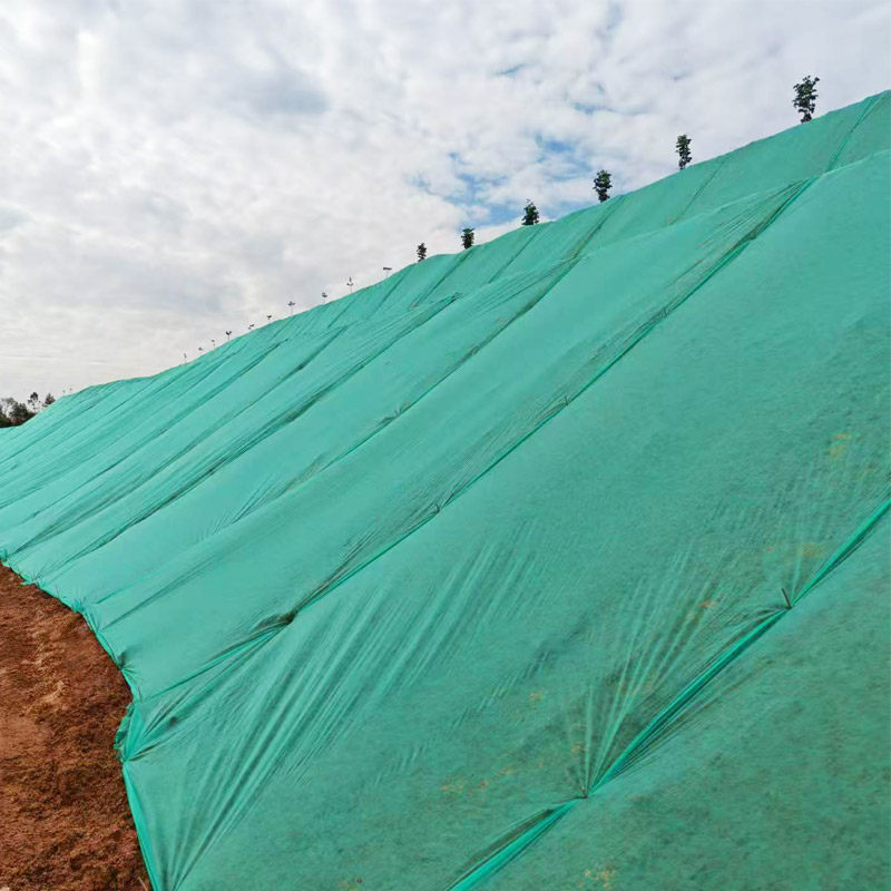 园林绿化无纺布种植用鱼塘边坡绿色草坪布盖土网布护坡无纺布整卷,淘宝优惠券,粉丝福利购,淘宝优惠卷