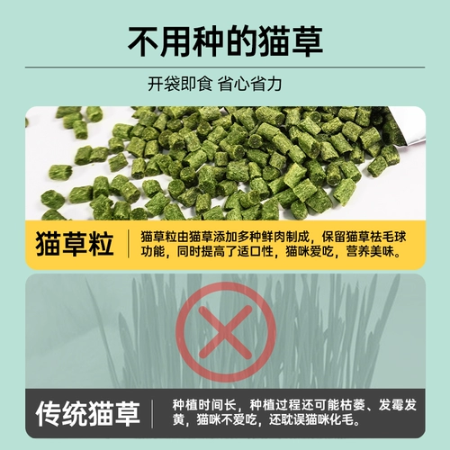 Macin Frozen Cat Grass Grains, 毛 毛 毛 毛 Закуски кошек в котят, разметочные зубы, мятный печенье