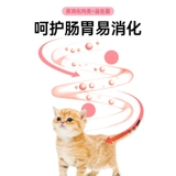 Macin Cat Food Citten