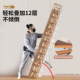 Shoe Box Transparent Storage Box Folding Shoe Cabinet