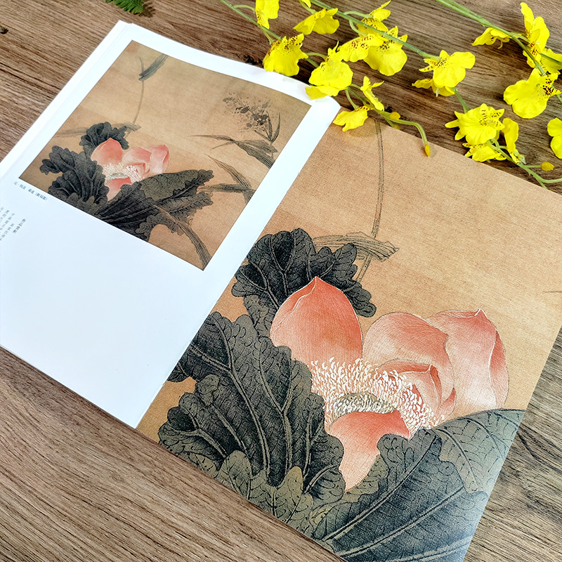 荷花苏百钧中国历代绘画百图花卉集沈周石涛恽寿平等名家画作赏析附解析局部放大便于临摹国画书画爱好者菊花兰花牡丹竹子河南美术