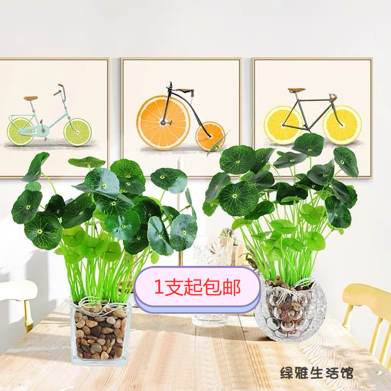 逆流滝香炉 手作りの陶磁器香炉 ハスの葉 - 花瓶
