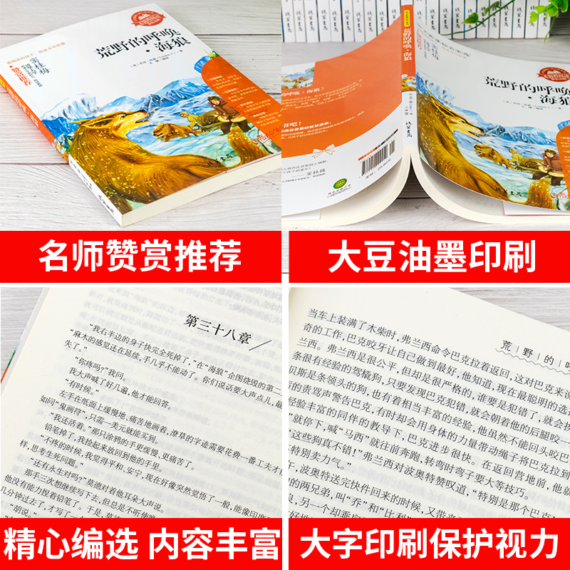 荒野的呼唤海狼正版包邮海狼 杰克伦敦成名作 中小学生青少年班主任经典书目三四五六年级读课外阅读书籍 - 图2