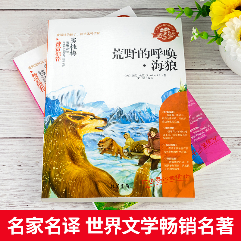 荒野的呼唤海狼正版包邮海狼 杰克伦敦成名作 中小学生青少年班主任经典书目三四五六年级读课外阅读书籍 - 图0