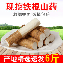 Iron stick yam fresh 5 catties of vegetable small white mouth Clay Soil Ginger Potato Purple Huai Mountain Drug Hemp Mountain Tablets When Season