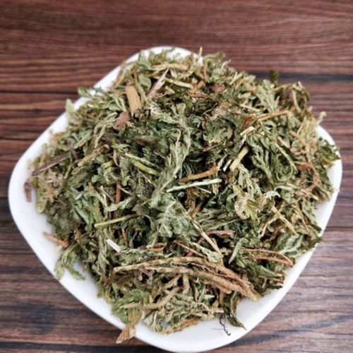 石上柏中药材正品500克岩柏草 地侧柏 金龙草 深绿卷柏中草药店铺 - 图0